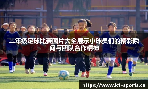 k1体育